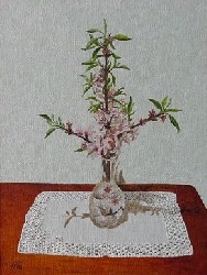 Flor de Almendro